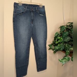 Mott & Bow Mom Jeans Women’s W30 L26 High Rise Medium Wash Stretch Denim